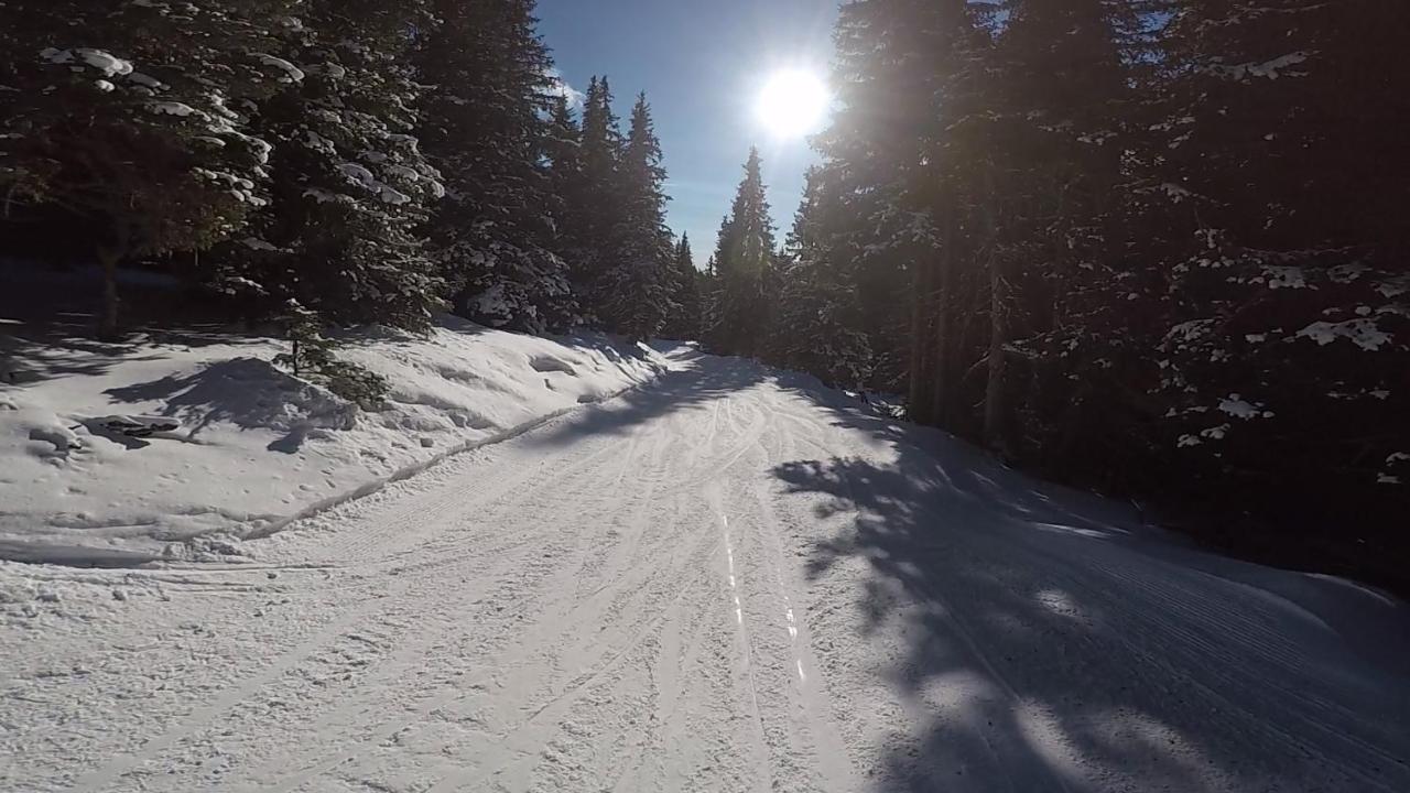 Holzknechthuette Villa Lachtal Eksteriør bilde