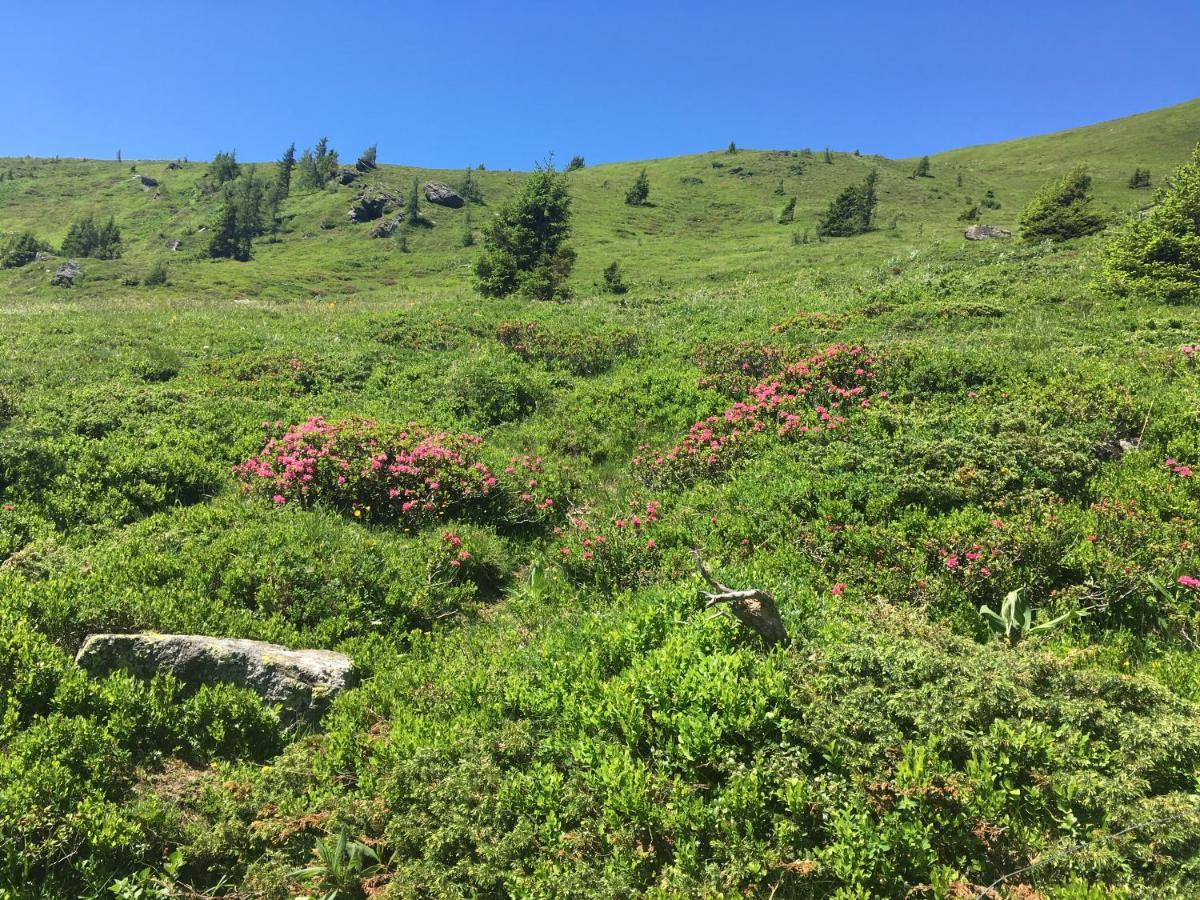 Holzknechthuette Villa Lachtal Eksteriør bilde