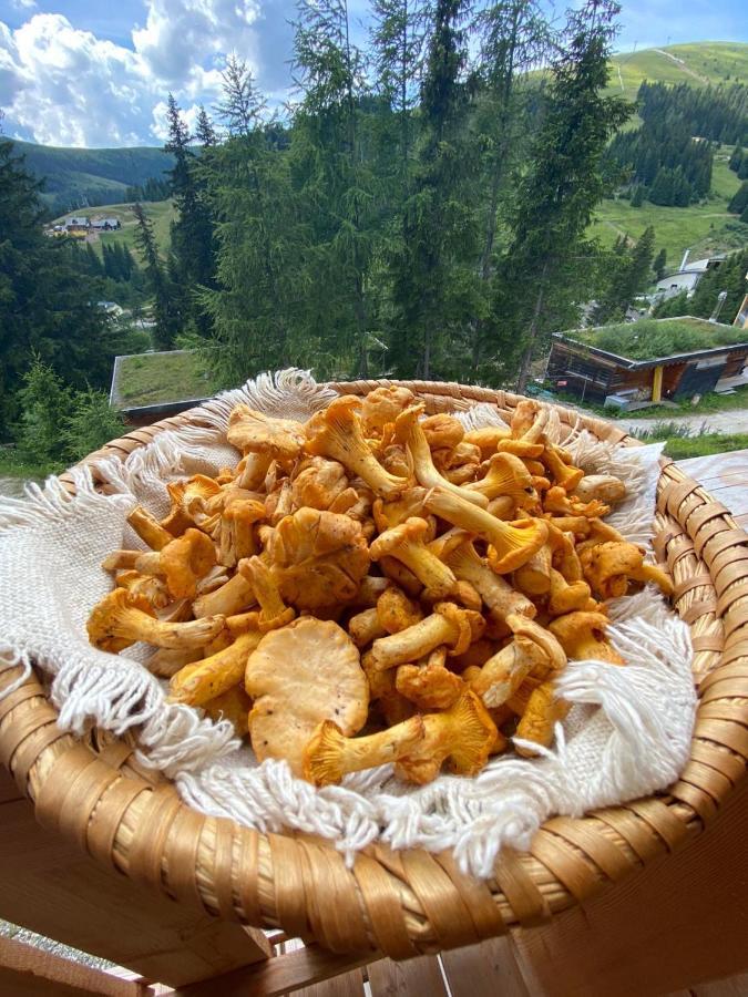 Holzknechthuette Villa Lachtal Eksteriør bilde