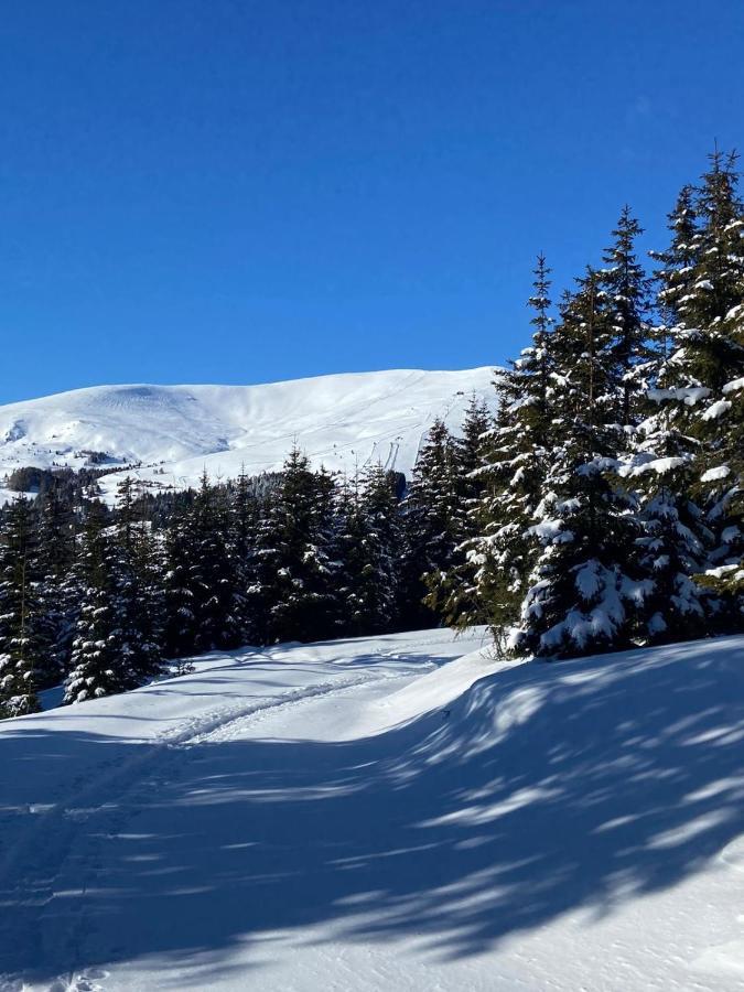 Holzknechthuette Villa Lachtal Eksteriør bilde